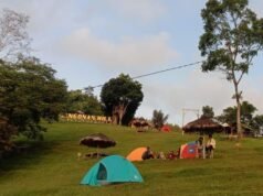 Bagai Permadani Hijau yang Bersiap Menyambut Senja di Ujung Tasikmalaya