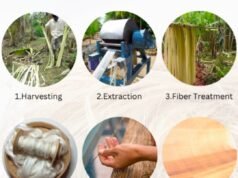 Gedebong Pisang jadi Bahan Baku Rebutan Dunia