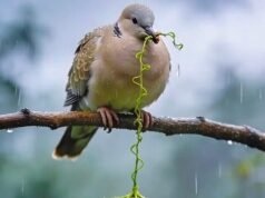 Di Balik Rintik Hujan dan Kehangatan Kasih Sayang