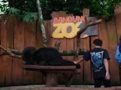 Bandung Zoo Bangkit Gaji Karyawan Kini Ditanggung Pemkot
